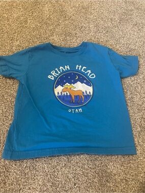 ‼️Mix and Match 3 items for $5‼️ 
Brian head Utah Toddle Blue Graphic Tee